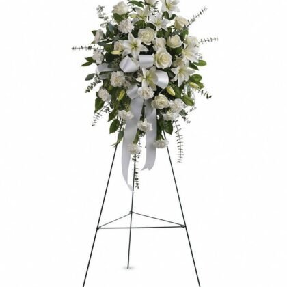 Lucia standing spray