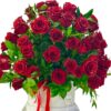 Cien hermosas rosas rojas