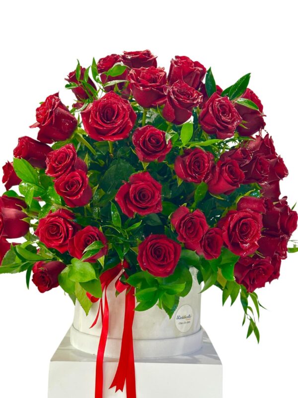 Cien hermosas rosas rojas