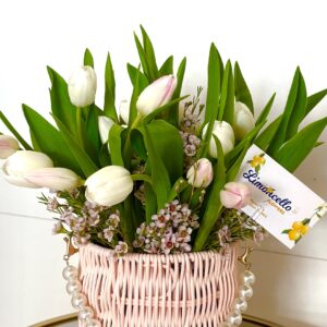 Eternal Spring