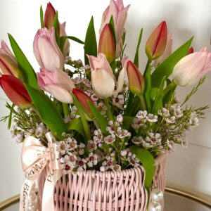 Eternal Spring Tulips