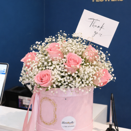 Baby love  (1 dozen)