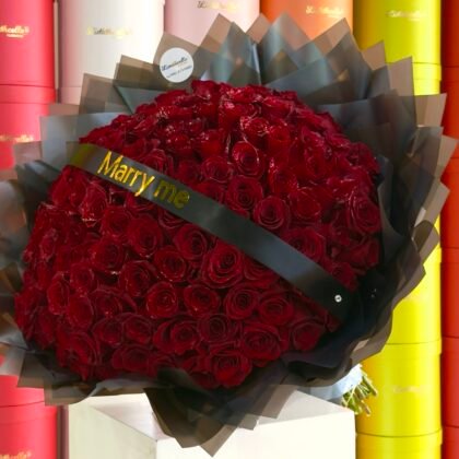 All my heart (100 roses)