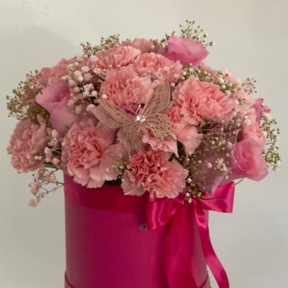 Pink Barby
