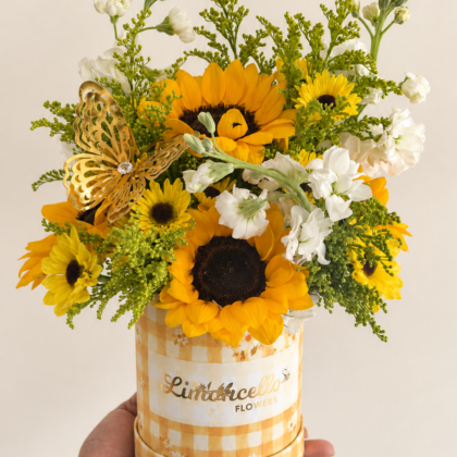 Jardín de Girasoles